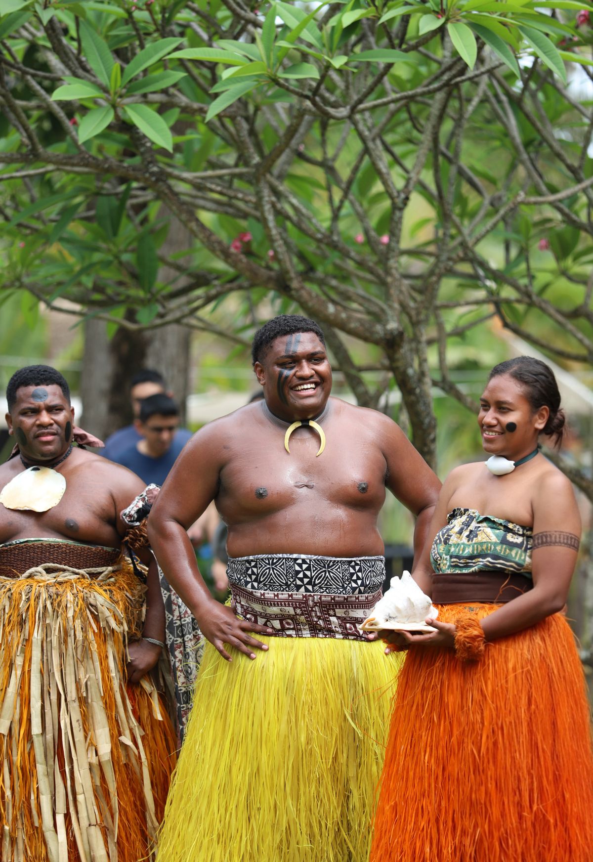 Representative Hawaiian dance performance, not the exact show
