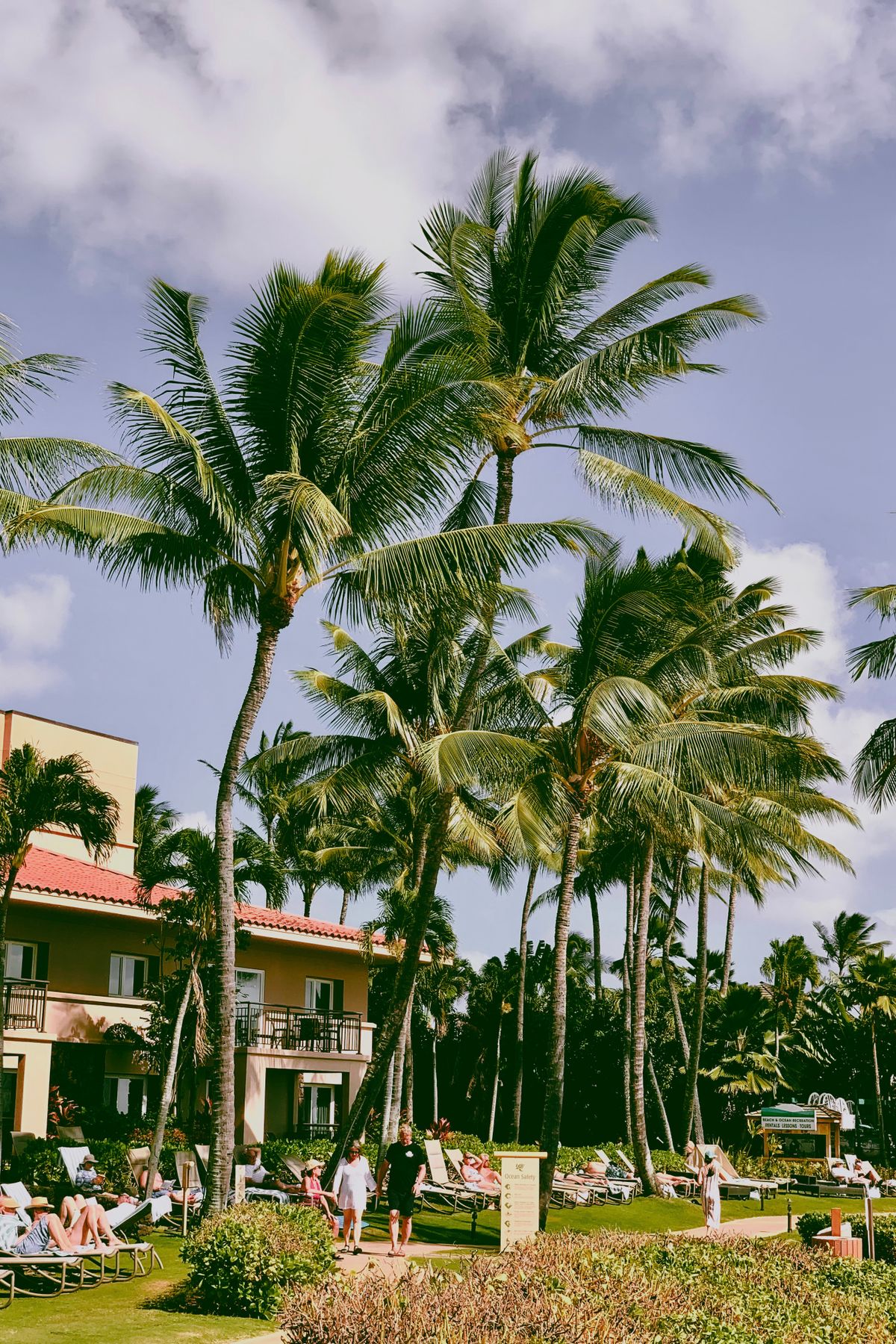 Representative tropical resort scenery